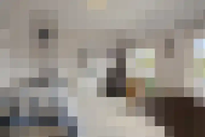 Van Speykstraat 8 Den Helder thumbnail 20