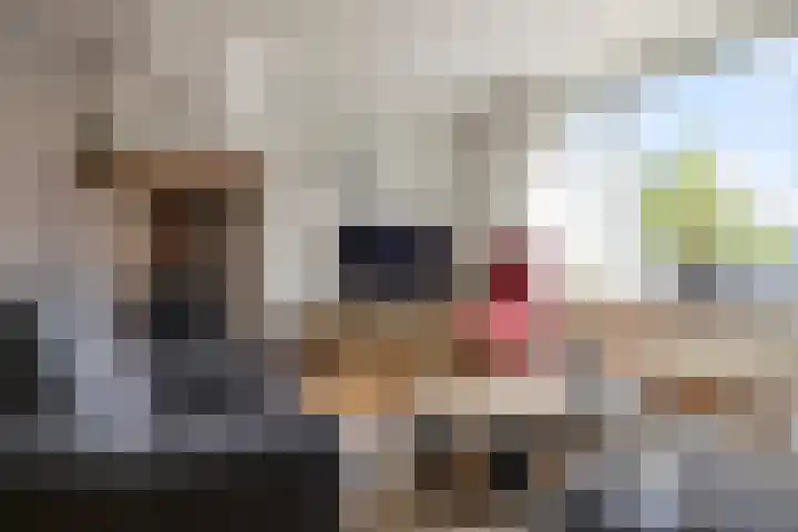 Van Speykstraat 8 Den Helder thumbnail 4