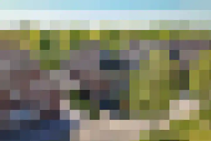 Van Steenbergenlaan 44 Woudenberg thumbnail 27