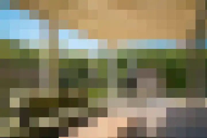 Van Steenbergenlaan 44 Woudenberg thumbnail 30
