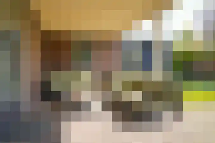 Van Steenbergenlaan 44 Woudenberg thumbnail 31