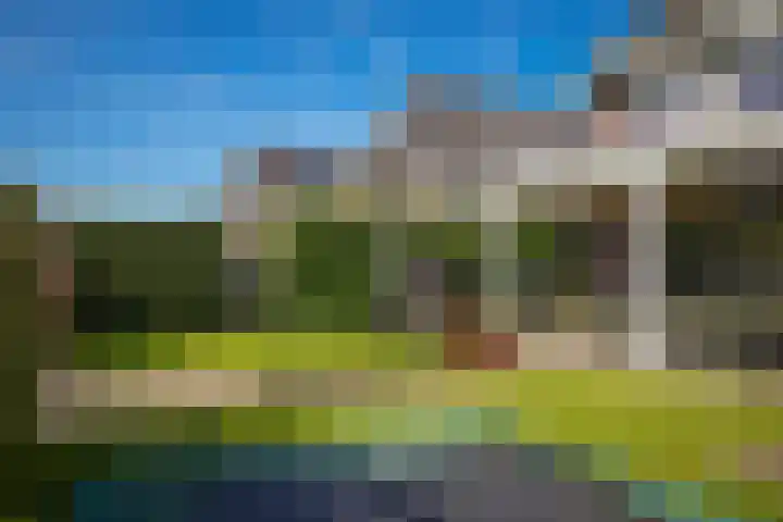 Van Steenbergenlaan 44 Woudenberg thumbnail 35