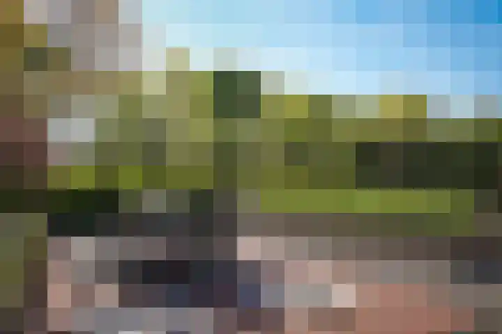 Van Steenbergenlaan 44 Woudenberg thumbnail 37