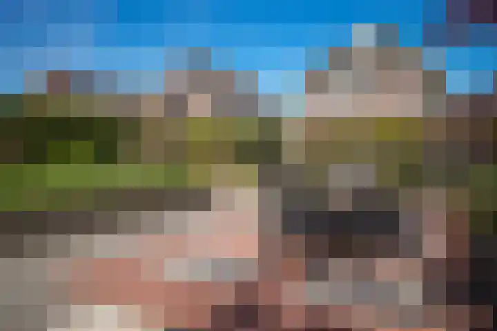 Van Steenbergenlaan 44 Woudenberg thumbnail 39