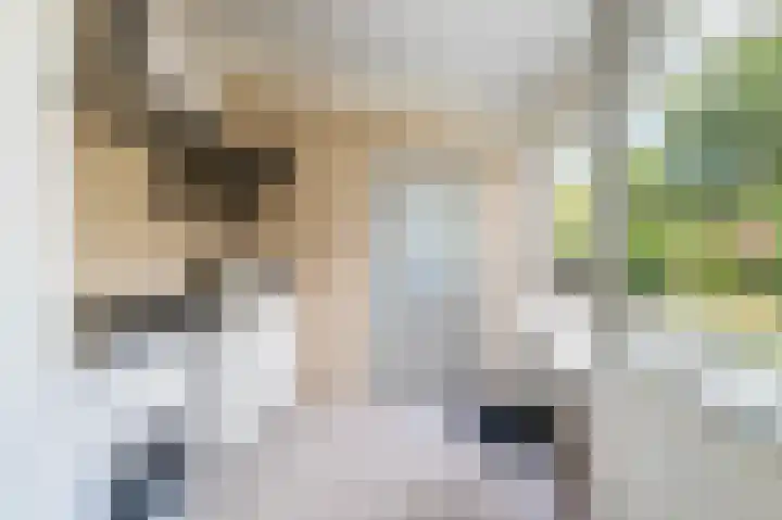Van Steenstraat 31 Wieringerwerf thumbnail 12