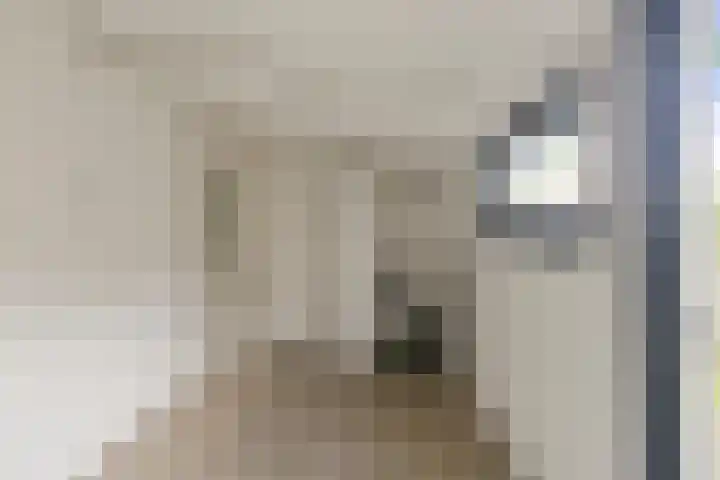 Van Steenstraat 35 Wieringerwerf thumbnail 19
