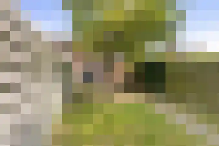 Van Steenstraat 35 Wieringerwerf thumbnail 4