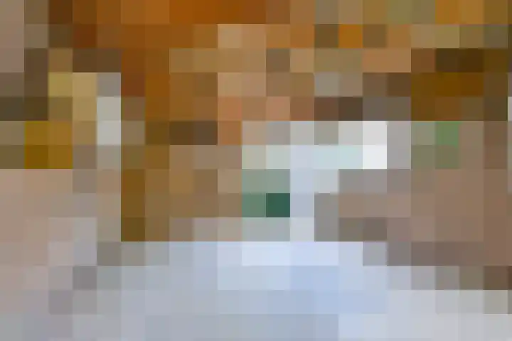 Van Steenstraat 44 Wieringerwerf thumbnail 23