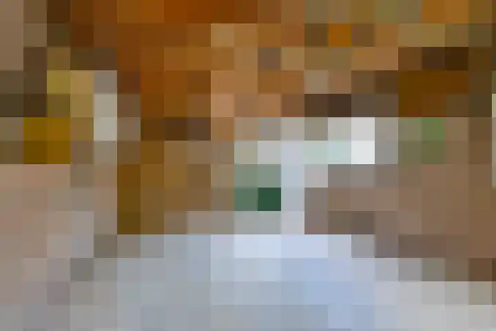 Van Steenstraat 44 Wieringerwerf thumbnail 24