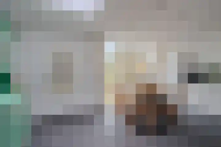 Van Stepraethstraat 8 Sevenum thumbnail 21