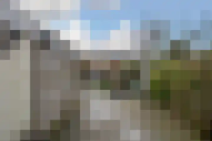 Van Stepraethstraat 8 Sevenum thumbnail 31