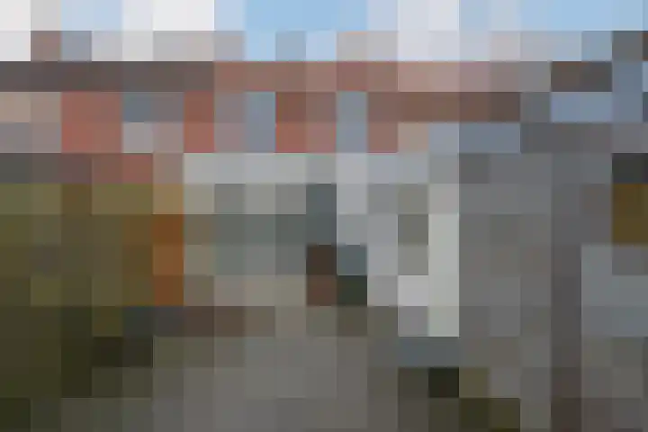 Van Stepraethstraat 8 Sevenum thumbnail 36