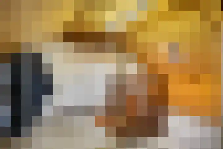 Van Stolberglaan 20 Vroomshoop thumbnail 28