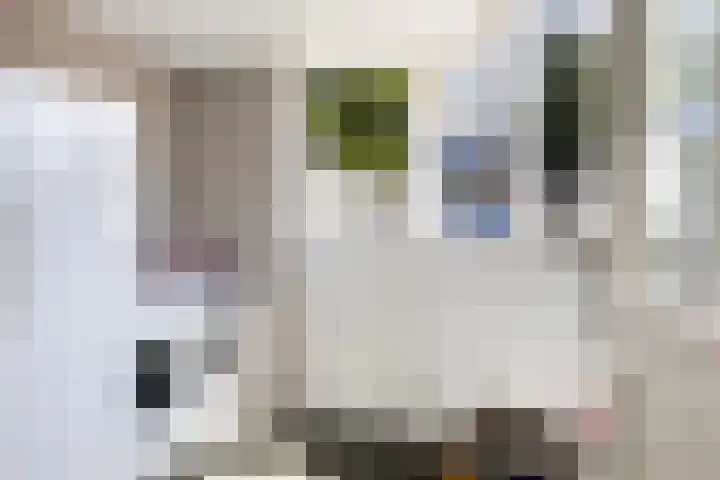 Van Stolberglaan 20 Vroomshoop thumbnail 32