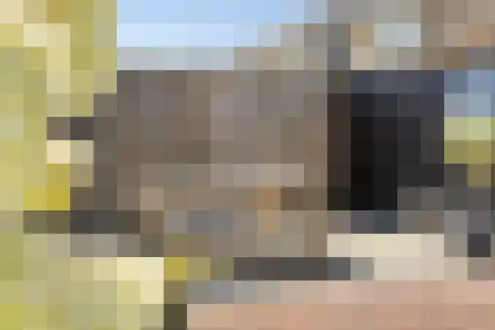 Van Stolberglaan 20 Vroomshoop thumbnail 36