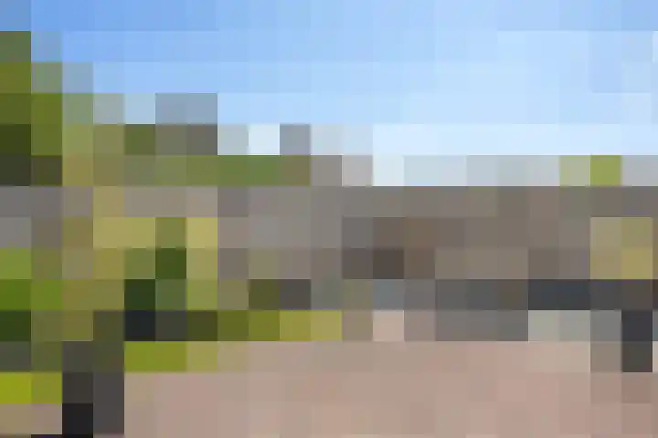 Van Stolberglaan 20 Vroomshoop thumbnail 37