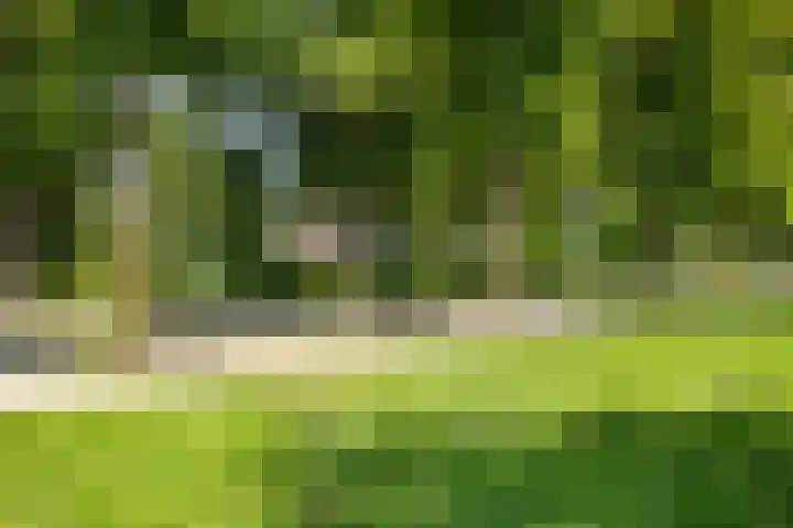 Van Stolberglaan 20 Vroomshoop thumbnail 43