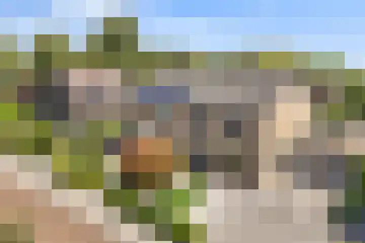 Van Stolberglaan 20 Vroomshoop thumbnail 50