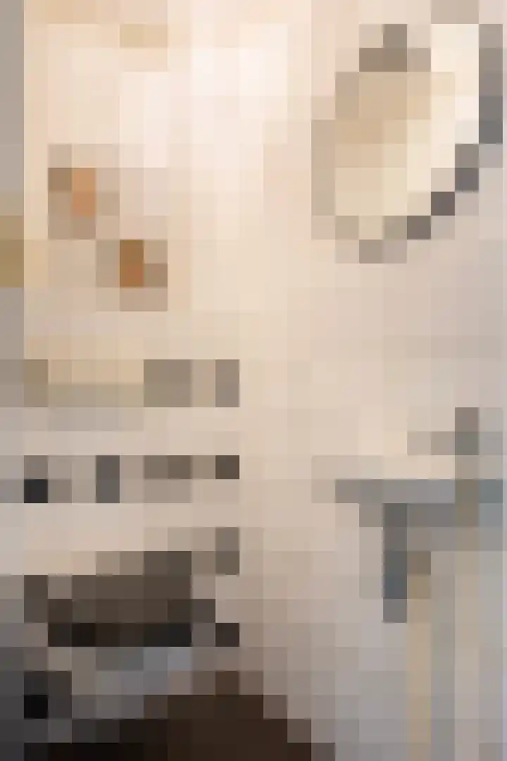 Van Stolberglaan 20 Vroomshoop thumbnail 6