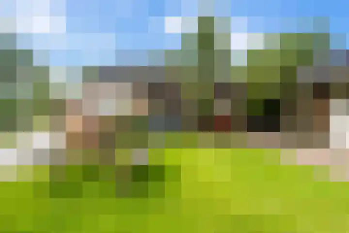 Van Sytzamawei 29 Driezum thumbnail 13
