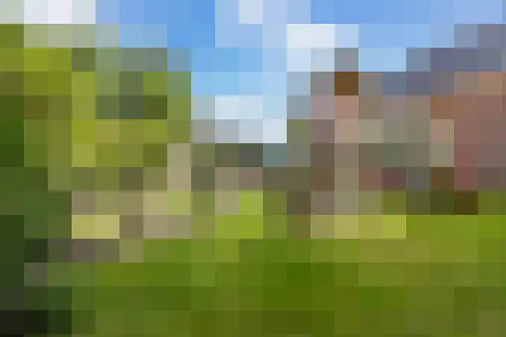 Van Sytzamawei 29 Driezum thumbnail 15