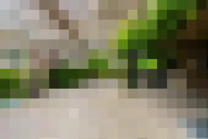 Van Sytzamawei 29 Driezum thumbnail 17