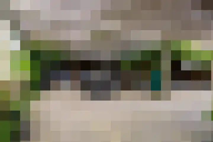 Van Sytzamawei 29 Driezum thumbnail 18