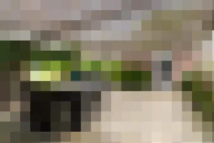 Van Sytzamawei 29 Driezum thumbnail 20