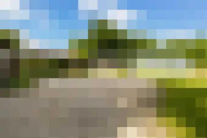 Van Sytzamawei 29 Driezum thumbnail 21