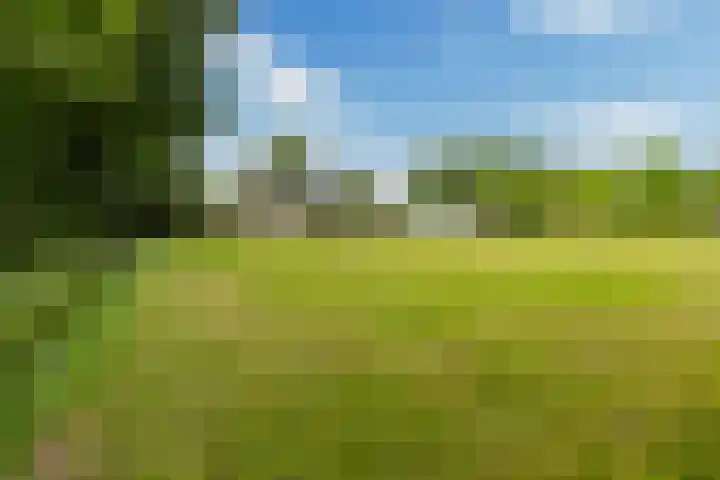 Van Sytzamawei 29 Driezum thumbnail 23