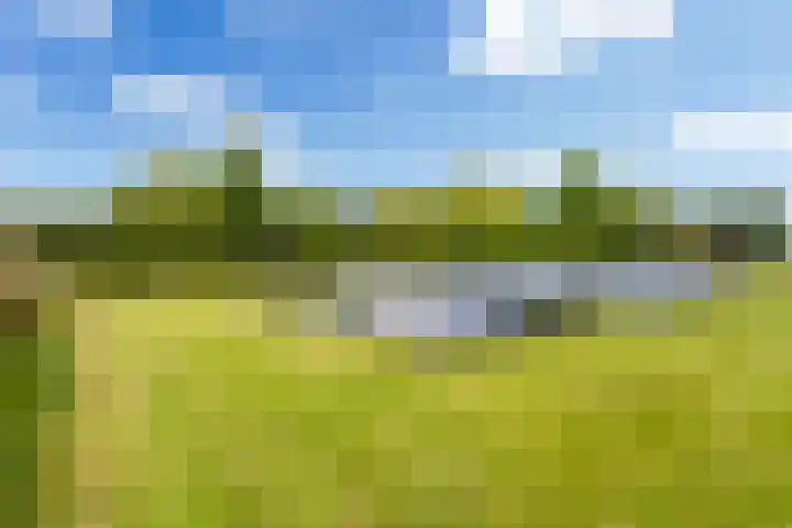 Van Sytzamawei 29 Driezum thumbnail 26