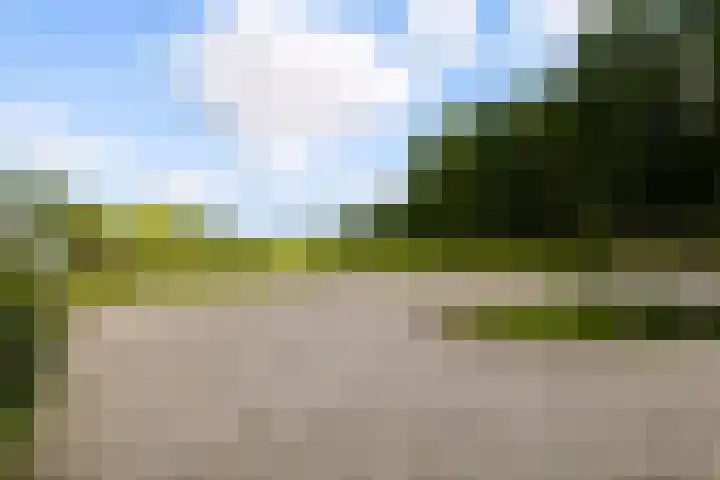 Van Sytzamawei 29 Driezum thumbnail 27