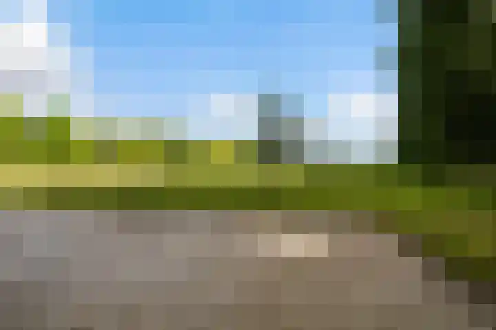 Van Sytzamawei 29 Driezum thumbnail 28