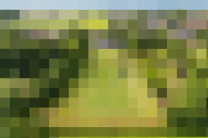 Van Sytzamawei 29 Driezum thumbnail 32