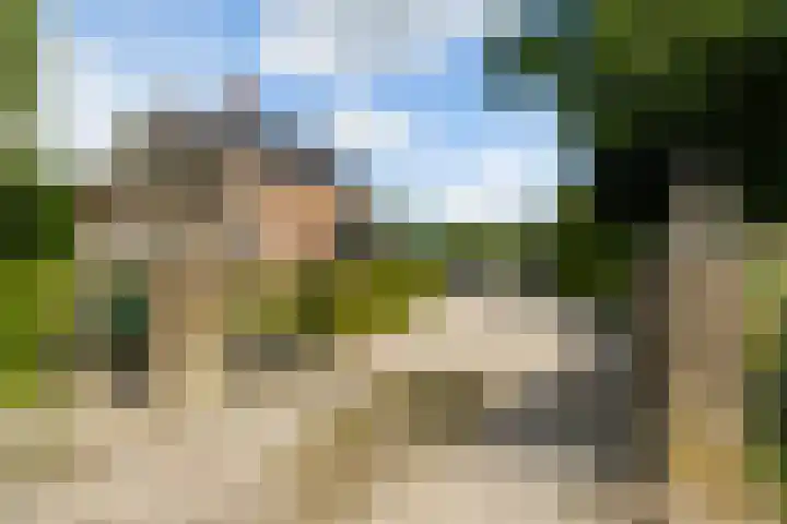 Van Sytzamawei 29 Driezum thumbnail 5