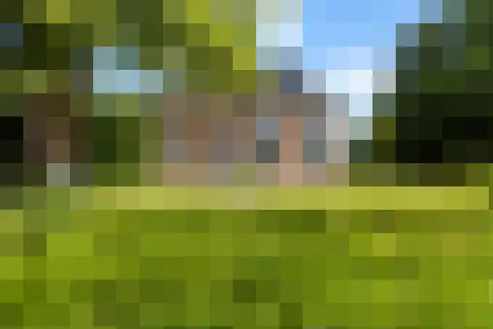 Van Sytzamawei 29 Driezum thumbnail 7