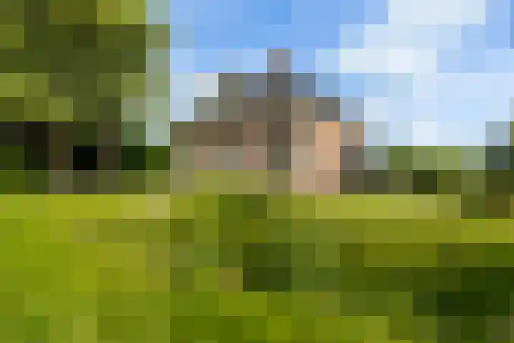 Van Sytzamawei 29 Driezum thumbnail 9