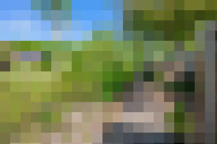 Van 't Hofflaan 3 Heemstede thumbnail 25