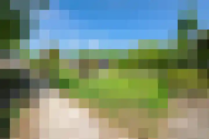 Van 't Hofflaan 3 Heemstede thumbnail 26