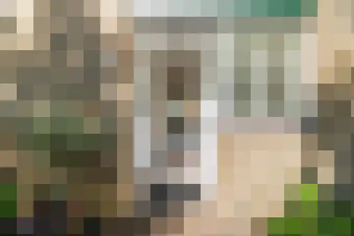 Van 't Hofflaan 3 Heemstede thumbnail 7