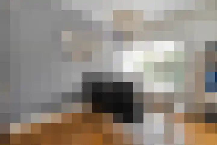 Van 't Hofflaan 9 Zwolle thumbnail 26