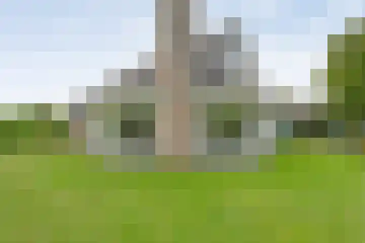 Van 't Hofflaan 9 Zwolle thumbnail 4