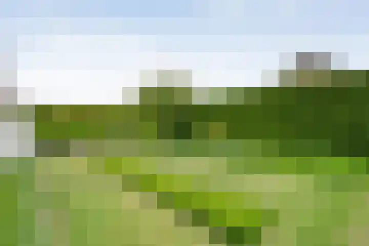 Van 't Hofflaan 9 Zwolle thumbnail 52