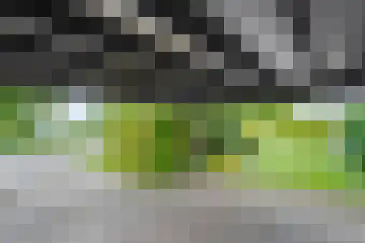 Van 't Hofflaan 9 Zwolle thumbnail 57