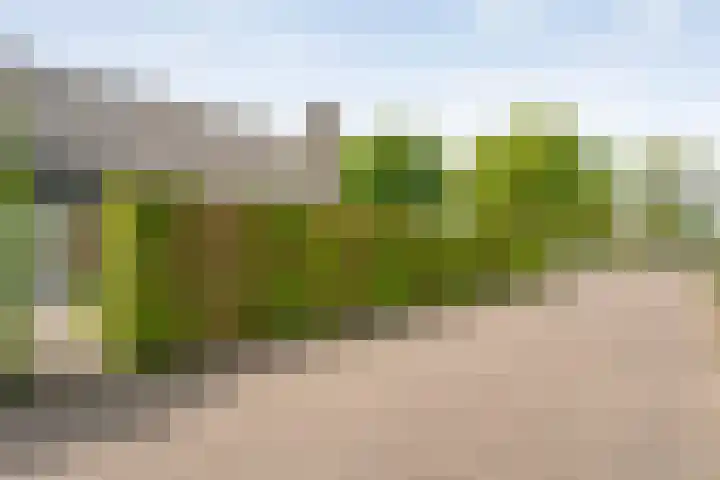 Van 't Hofflaan 9 Zwolle thumbnail 59