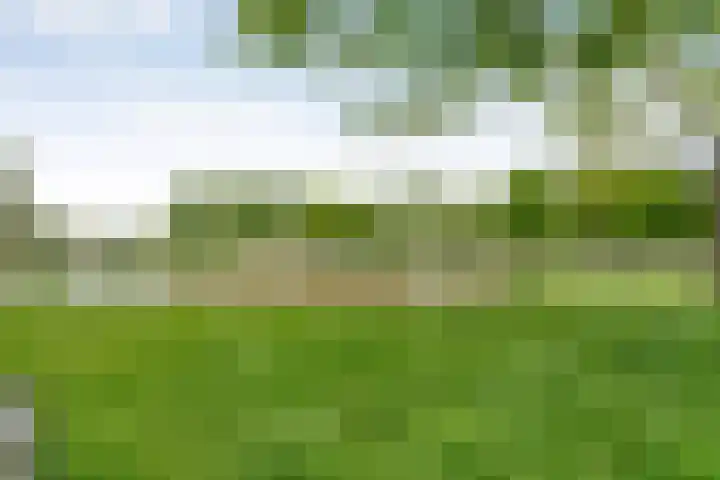 Van 't Hofflaan 9 Zwolle thumbnail 61