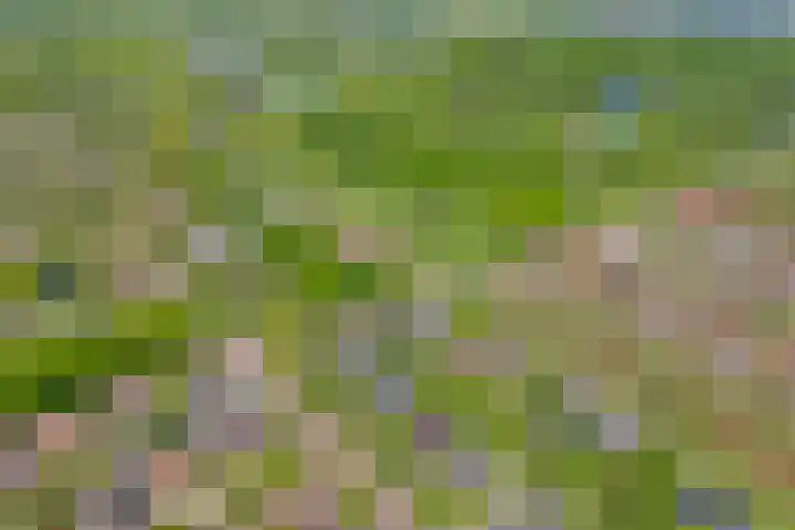 Van 't Hofflaan 9 Zwolle thumbnail 62
