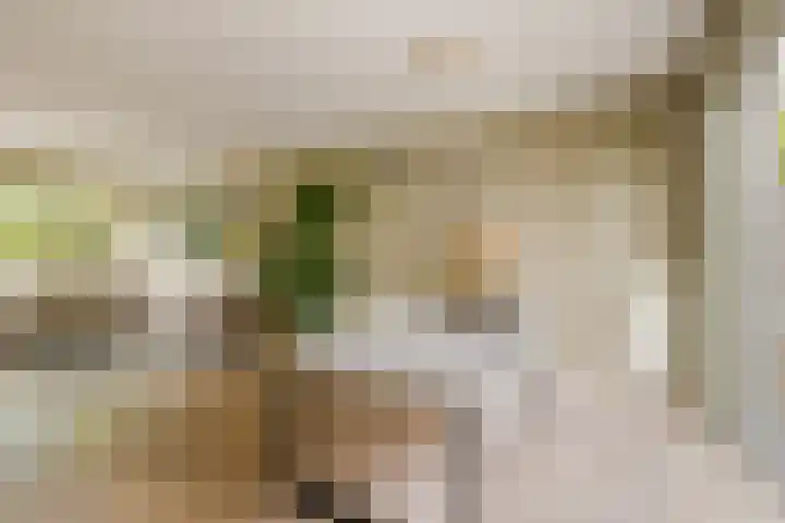 Van 't Hoffstraat 212 Haarlem thumbnail 17
