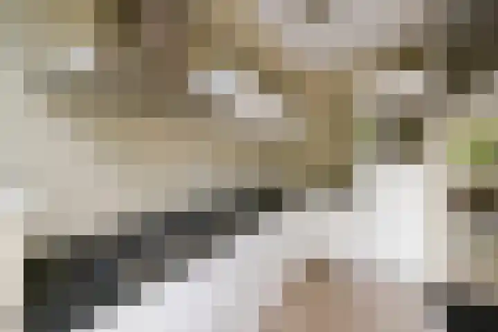 Van 't Hoffstraat 212 Haarlem thumbnail 23