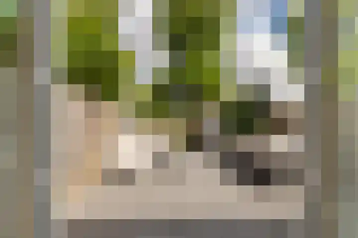 Van 't Hoffstraat 212 Haarlem thumbnail 27